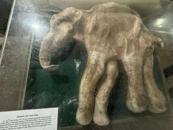 Знакомство с Якутией: круиз по Лене, Ленские столбы, шаманские обряды и «Царство вечной мерзлоты» - фото 3