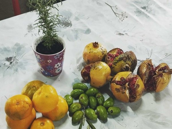 На старинную маслобойню с дегустацией — из Котора - фото 1