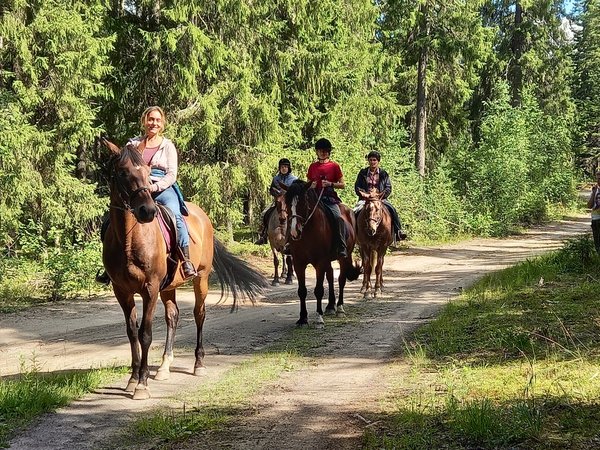 Прогулка на лошадях и визит к северным оленям - фото 1