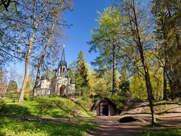 Прогулка на лошадях и визит к северным оленям - фото 2