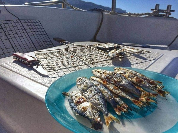 В мини-группе — на морскую рыбалку с пикником на борту - фото 2