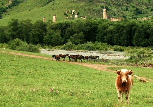 Строители башен: Горная Ингушетия в мини-группе - фото 1