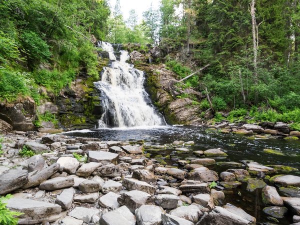Карельский Клондайк и водопад Белые мосты - фото 1