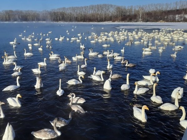 На Алтай за чудесами, энергией и видами (в сборной мини-группе), фото 5
