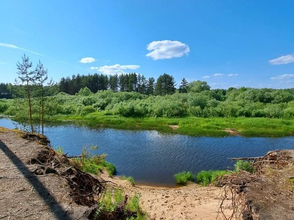 Очарование Медведицы: лёгкий сплав на байдарках - фото 3