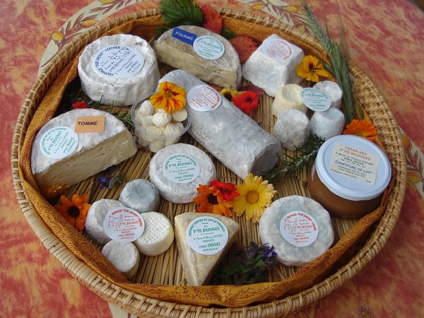 Поездка на ферму по производству сыров - фото 4