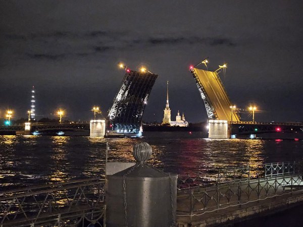 Ночной Петербург в огнях: на автобусе по вечернему городу - фото 3