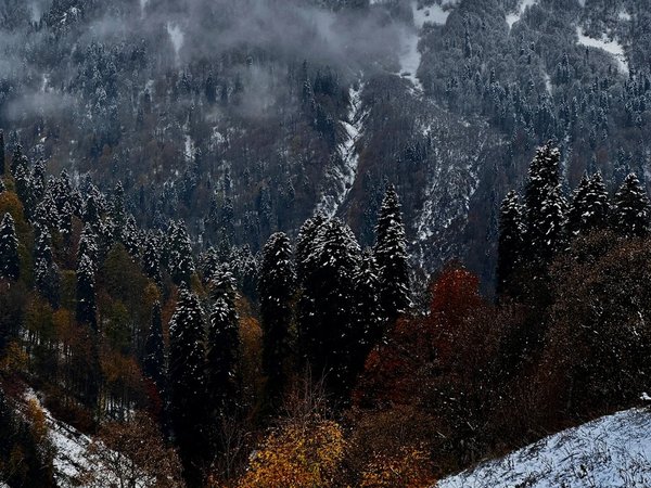По местам съёмок «Последнего богатыря» — из Гагры - фото 1