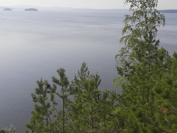 Дары природы: экскурсия в сердце Урала за деликатесами из дикоросов - фото 3