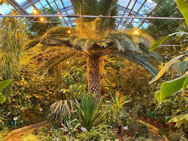 Сердце Хибин: экскурсия из Мурманска в Кировск - фото 2