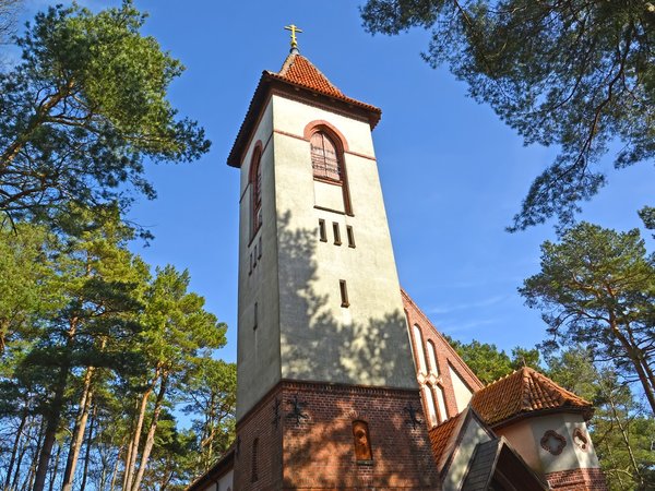 Яркое путешествие из Калининграда в Светлогорск, Балтийск и Янтарный - фото 2