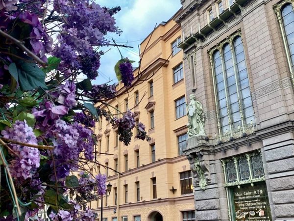 Детская интерактивная экскурсия «Петербургские зверята»