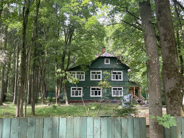 Таинственная страсть в Переделкине - фото 2