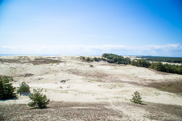 Фото экскурсии - Многодневное путешествие в Зеленоградск к котикам: морской отдых и экскурсии - 5