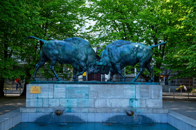 Фото экскурсии - Многодневное путешествие в Зеленоградск к котикам: морской отдых и экскурсии - 8