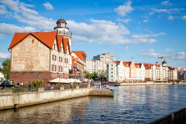 Фото экскурсии - Многодневное путешествие в Зеленоградск к котикам: морской отдых и экскурсии - 10