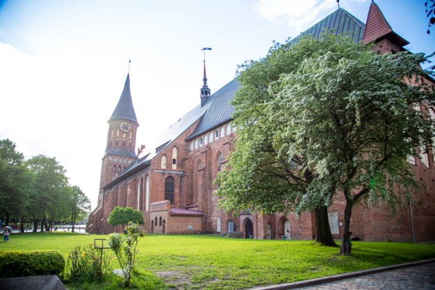 Фото экскурсии - Многодневное путешествие в Зеленоградск к котикам: морской отдых и экскурсии - 14