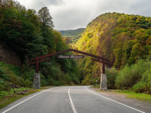 Персональная поездка по Дигории: природа и отдых в термальных источниках - фото 1