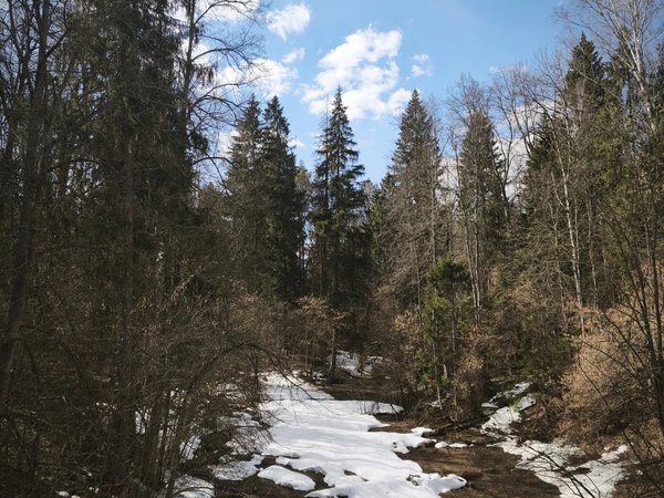Середниково — родовое гнездо Лермонтовых - фото 1