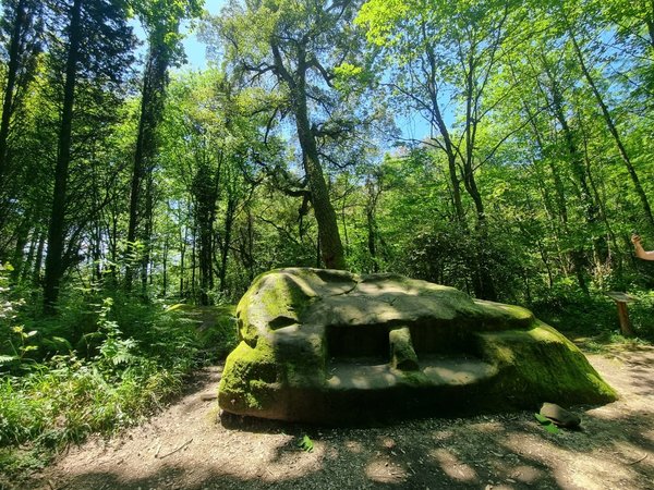 Путешествие в историю кавказских народов и прогулка по лесу - фото 4