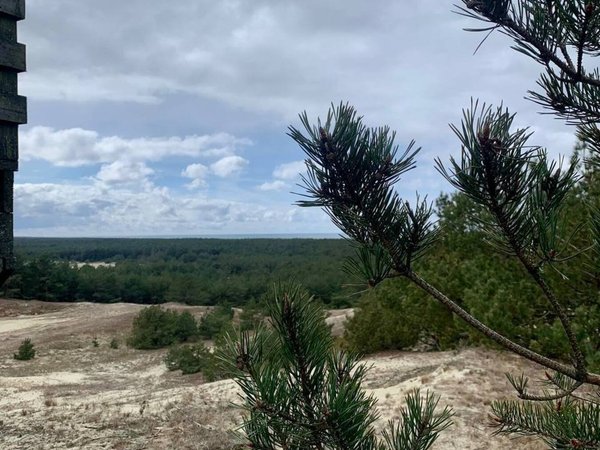 Из Калининграда — на Куршскую косу, в замок Нессельбек и Зеленоградск - фото 1