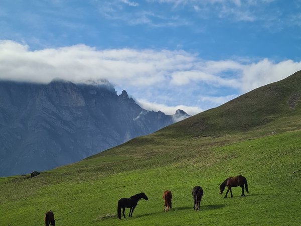 Главное в Осетии, мастер-класс и музыкальный бонус! - фото 3