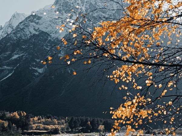 Всё Чегемское ущелье за один день! - фото 4