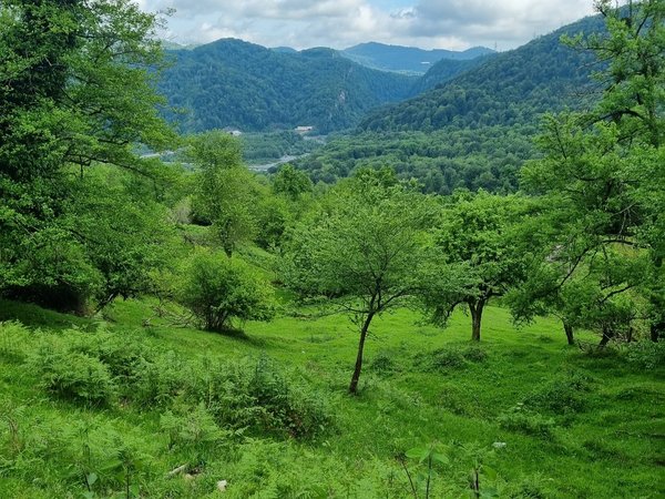 Чудеса долины Мзымты (из Адлера) - фото 4