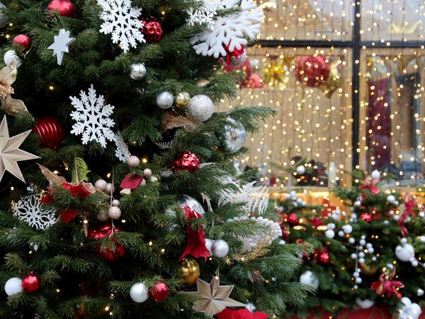 Московские посиделки с ароматом волшебных зимних праздников