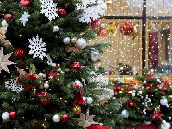 Московские посиделки с ароматом волшебных зимних праздников - фото 1