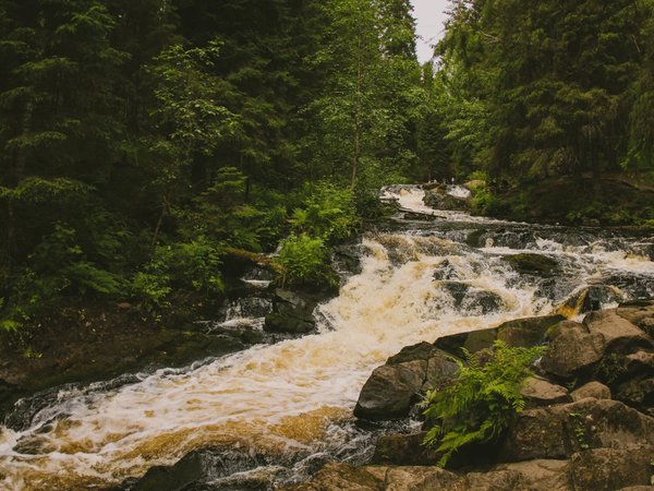 Лучшие впечатления от Карелии: крепость, водопады, хаски и музей в скале - фото 4