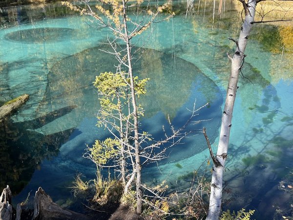 Хайкинг по главным местам Алтая: горы, озёра и водопады - фото 4