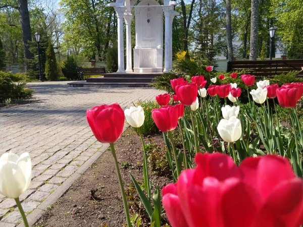 На остров Валаам и Ладожские шхеры на катере - фото 4
