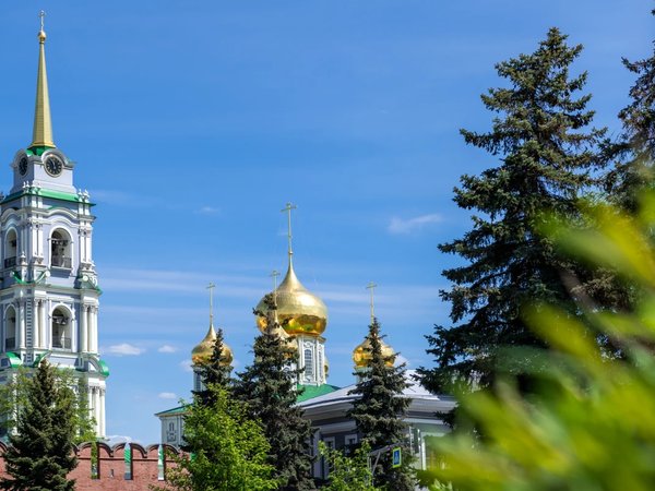 Тульские святыни - фото 1