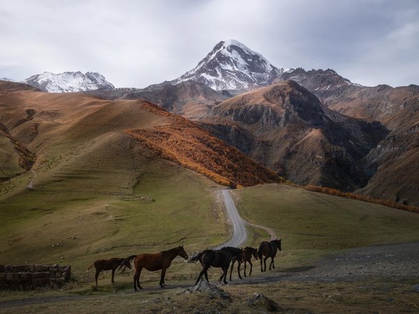 Из Тбилиси — навстречу горделивому Казбеку - фото 1