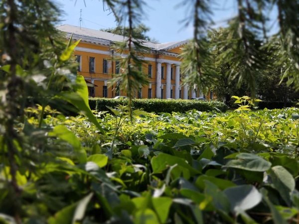Горный город Барнаул - фото 3