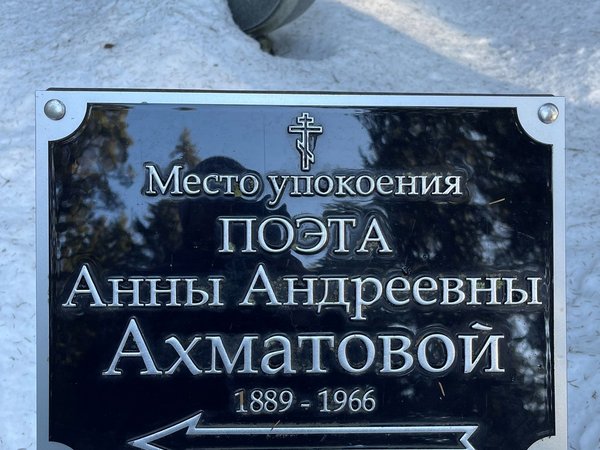 Из Петербурга в Комарово: обитель муз и гениев (в уютной мини группе) - фото 3