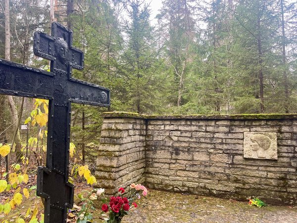 Из Петербурга в Комарово: обитель муз и гениев (в уютной мини группе) - фото 4
