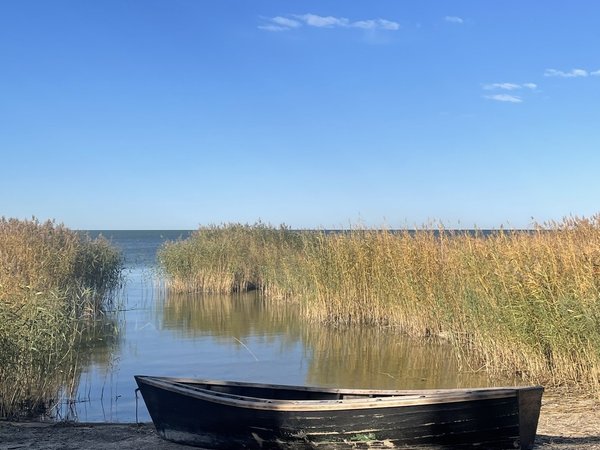 Автопутешествие по Калининградской области: Средневековье, немецкая школа и пиво - фото 2