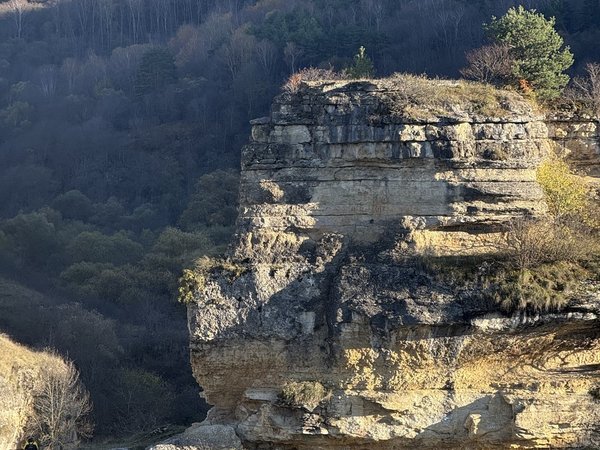 Плато динозавров, Кисловодск, гора Кольцо и Медовые водопады — из Пятигорска - фото 3