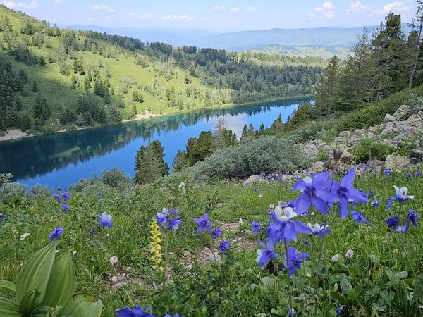 В мини-группе по Уймонской долине, прогулки в горах, Мультинские озёра, Камышлинский водопад - фото 3