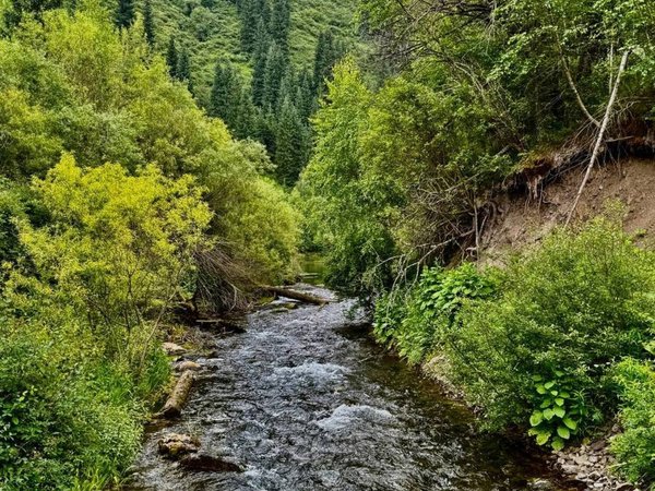 Из Алматы в Заилийский Алатау: плато Асы, Иссык и Медвежий водопад - фото 2