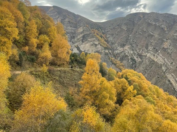 Аул-призрак Гамсутль, подземный Салтинский водопад и поляна Айвазовского за 1 день (из Каспийска)