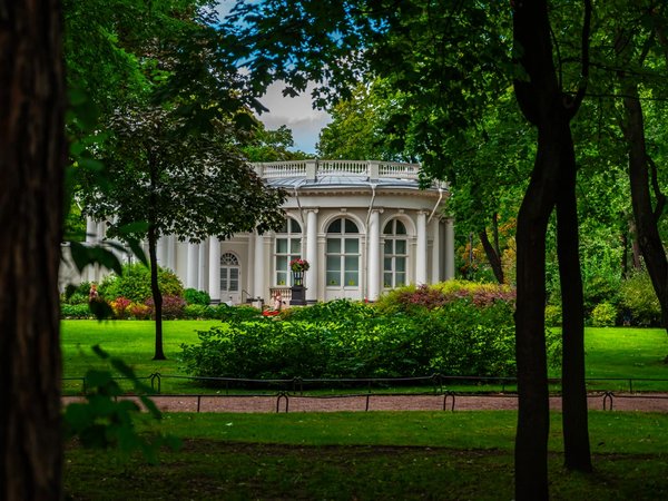 Музеи, театры и светская жизнь Петербурга - фото 2