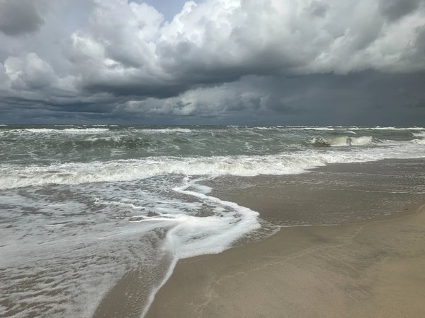 Куршская коса и Зеленоградск за один день - фото 2