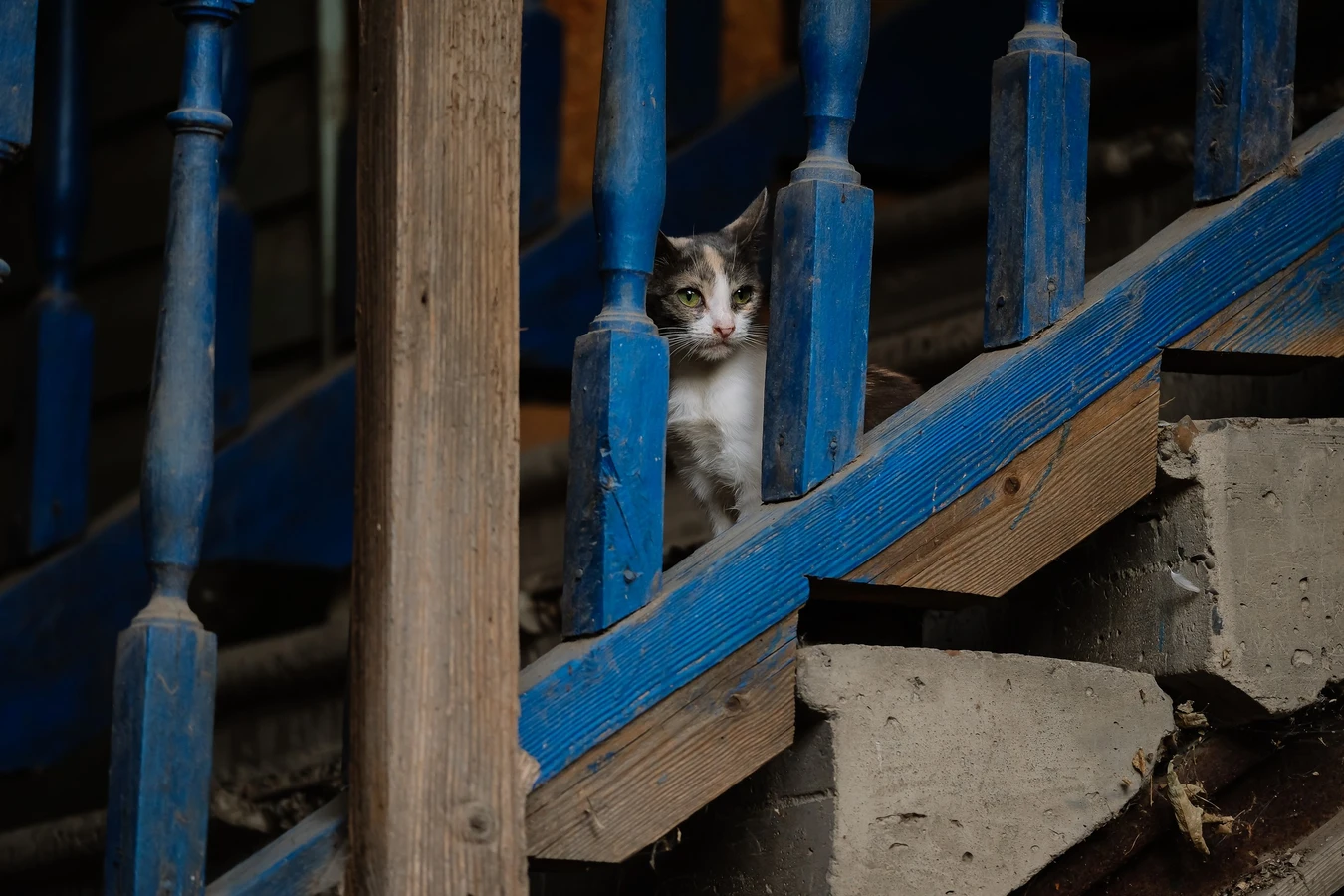 Коса без прикрас: культурно о некультурном
