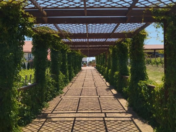 Винная империя Краснодарского края: трансфер в два шато (18+) - фото 3