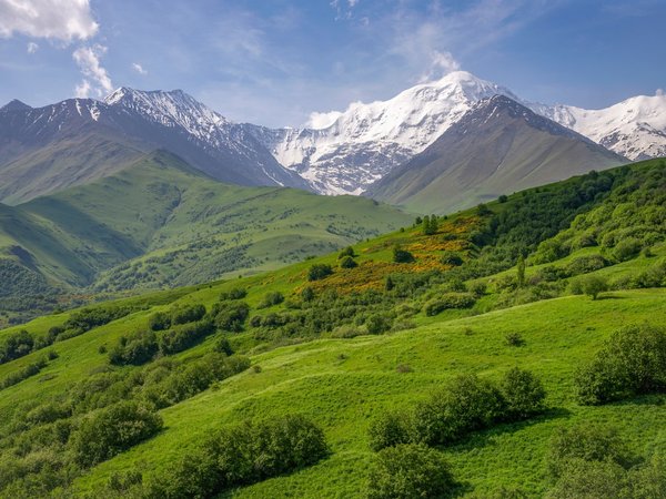 Рыбалка на горном озере + величественные ущелья (из Владикавказа)