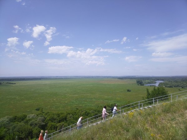 Чудеса воронежской природы (на вашем автомобиле) - фото 3