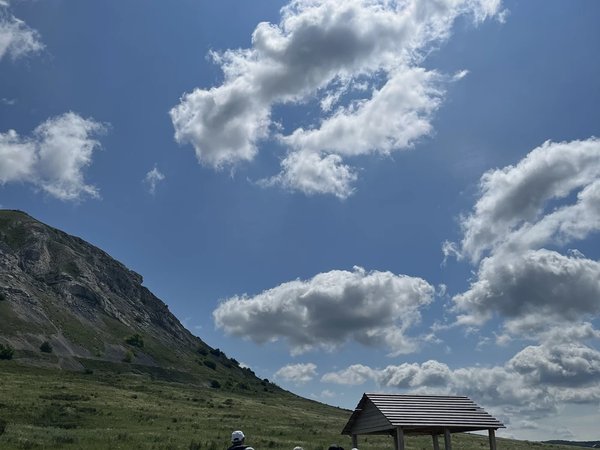Из Уфы — к шихану Торатау, гусям в Стерлитамаке и бассейнам - фото 4